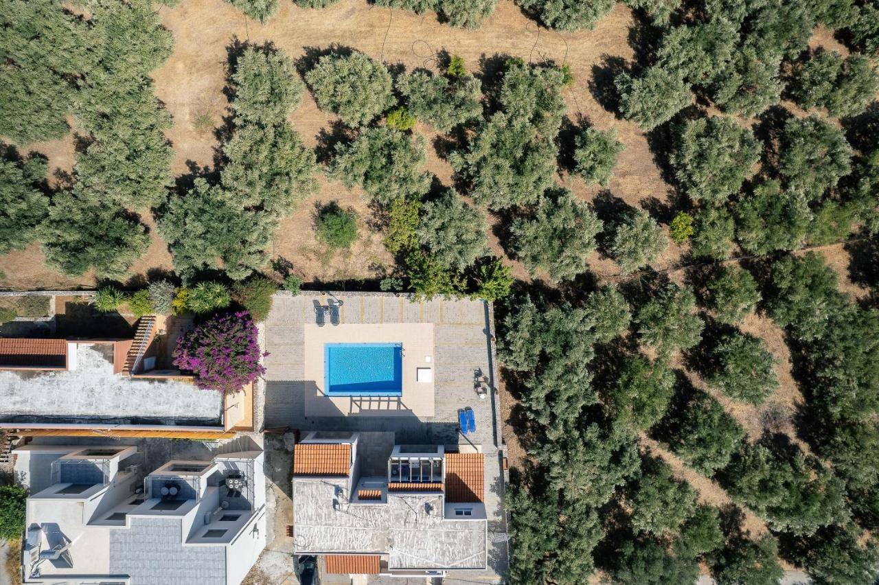 Greek Sky - New Modern Apartment With Shared Pool Tavronitis Екстериор снимка